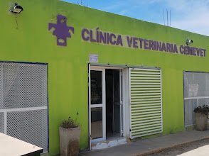 Veterinaria Cemevet